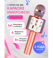 Kablosuz Karaoke Çocuk Mikrofonu