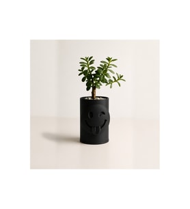 Alvera Emoji Planter – 3D Baskı Göz Kırpan Yüzlü Minik Yeşil Saksısı-Siyah