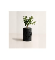 Alvera Emoji Planter – 3D Baskı Göz Kırpan Yüzlü Minik Yeşil Saksısı-Siyah