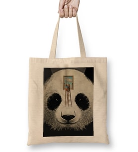 Panda Window Cleaner Bez Çanta Uzun Saplı