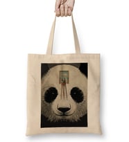 Panda Window Cleaner Bez Çanta Uzun Saplı