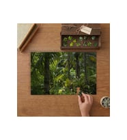 Amazon Ormanları Manzarası Tasarımı 240 parça Ahşap Puzzle Ahşap Kutuda MP06082