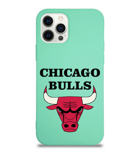 Apple iPhone 12 Pro Max  Lansman Kılıf Chicago Bulls Tasarımlı Altı Kapalı İçi Kadife Kaplı  Kapak (Şeffaf)