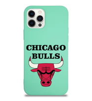 Apple iPhone 12 Pro Max  Lansman Kılıf Chicago Bulls Tasarımlı Altı Kapalı İçi Kadife Kaplı  Kapak (Şeffaf)