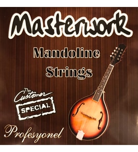 MASTERWORK MANDOLİN TELİ SETİ