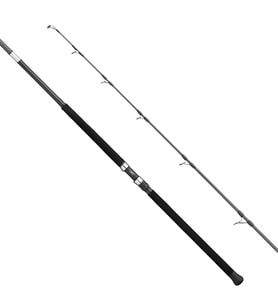 Apia Grandage Atlas C-Safari 99MAX 2.97m Plug 180gr - Jig 200gr Shore Jig Kamış