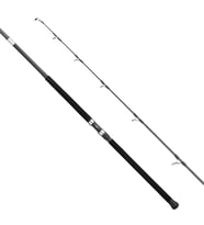 Apia Grandage Atlas C-Safari 99MAX 2.97m Plug 180gr - Jig 200gr Shore Jig Kamış