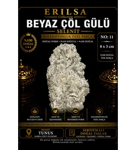 Sertifikalı Beyaz Çöl Gülü Selenit Taşı Kütle - 8x3 cm Koleksiyonluk Doğal Tek Parça