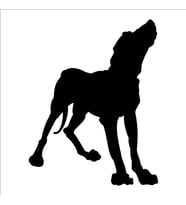 KÖPEK FOLYO STİCKER DERSTV893 90 cm uzunluk (Karışık)