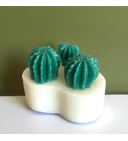 Succulent Silikon Kalıp, Üçlü
