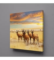 GEYİKLER KANVAS TABLO 25x25cm (Karışık)