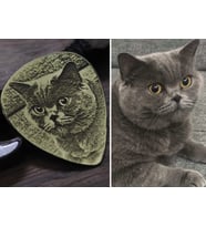 Kedi Tasması Kedi Künyesi (Altın / Dore)