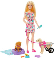 Barbie Ve Engelli Köpeği Oyun Seti (Çok Renkli)