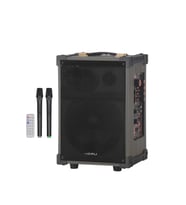 Hepu Hp-976 Partybox Bluetooth Hoparlör 8 Woofer 40W Güç 2 Kablosuz Mikrofon Kumanda