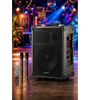 Hepu Hp-976 Partybox Bluetooth Hoparlör 8 Woofer 40W Güç 2 Kablosuz Mikrofon Kumanda