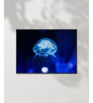 Işıkta Yüzen Meduza Poster (Çok Renkli)