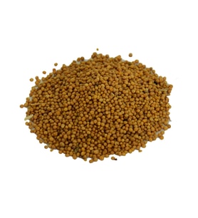 LokmanAVM Hardal Tohumu Tane Doğal Sarı 100 Gr Paket