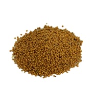 LokmanAVM Hardal Tohumu Tane Doğal Sarı 100 Gr Paket