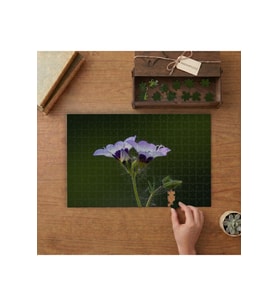 Kuş Gözü Çiçeği - Doğa - Çiçekler Tasarımı 240 parça Ahşap Puzzle Ahşap Kutuda MP09585