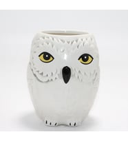Harry Potter Hedwig Tasarım Porselen Kupa Bardak Alk4494