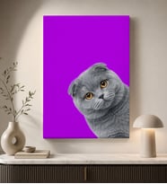 BK Gift Mor Fonlu Gri Scottish Fold Kedi Portresi Sevimli Minimalist Modern Kanvas Duvar Tablosu 50x70 cm
