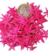 Polyester Deniz Yıldızı Minik Boy  0.5 CM- 1.5 CM (100 Adet)  Pembe
