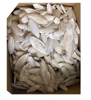 Nunbell KIRIK Mürekkep Balığı Kemiği (Kalamar) 250 Gr