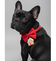 Ginger Home Küçük Irk Köpek Papyon Tasması  Kırmızı Fiyonk Boyun Aksesuarı  Noel Temalı Köpek Süsü