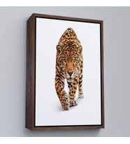 Çerçeveli Vahşi Leopar Tablosu (Altın)