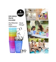 Mithra Life 4 Adet 250 ML Kırılmaz Parti Piknik Bardağı MIT1109 (Çok Renkli)