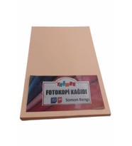A4 Renkli Fotokopi Kağıdı Somon Rengi 100 Lü Paket