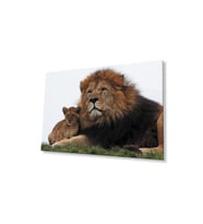 Aslan Cam Tablo 4mm Dayanıklı Temperli Cam (Çok Renkli)