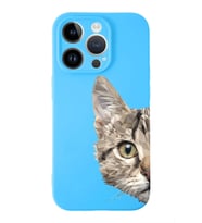 Apple iPhone 14 Pro  Lansman Kılıf Catface  Tasarımlı Altı Kapalı İçi Kadife Kaplı  Kapak (Şeffaf)