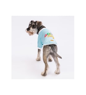 Pawstar Kedi ve KÜÇÜK Köpek Blue Good Day Sweat XL Sırt38cm Göğüs55cm Boyun34cm