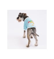 Pawstar Kedi ve KÜÇÜK Köpek Blue Good Day Sweat XL Sırt38cm Göğüs55cm Boyun34cm
