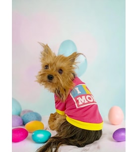 Hediye Paketli, Anneler Günü, I Love Mom Pink,Oval Yaka Tişört Köpek Kıyafeti,Elbisesi Anneler Günü, Anneye, Anne 