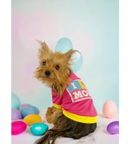 Hediye Paketli, Anneler Günü, I Love Mom Pink,Oval Yaka Tişört Köpek Kıyafeti,Elbisesi Anneler Günü, Anneye, Anne 