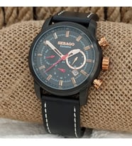 Sebago SWN178-2 Erkek Kol Saati
