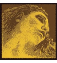Pirastro 415021 Evah Pirazzi Gold Keman Teli  Profesyonel Solist Teli