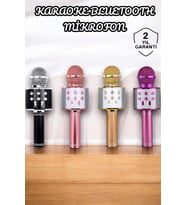 Şarjlı ve Uzun Pil Ömürlü Karaoke Mikrofon USB Bellek Destekli, Profesyonel Ses