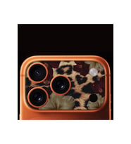 iPhone 17 Pro Max Tam Kaplayan Kamera Çerçeve Koruyucu Desenli Baskılı - FLO-LEOPARD