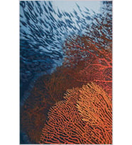 Eliana Home Baskılı, Yıkanabilir Kaymaz Taban Salon Halısı LNA1703 100x150 cm (Turuncu)