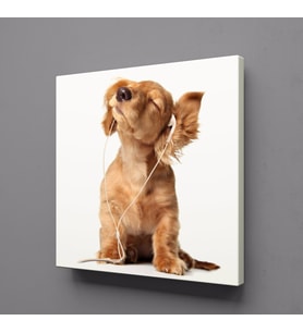 MÜZİK DİNLEYEN KÖPEK KANVAS TABLO 100x100cm (Karışık)