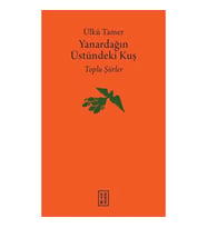 Yanardağın Üstündeki Kuş
