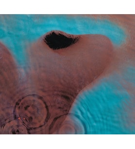Pink Floyd Meddle (Remastered) - Plak