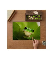 Sevimli Yaprak Kurbağası Tasarımı 240 parça Ahşap Puzzle Ahşap Kutuda MP10926