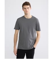 LCWAIKIKI Classic Antrasit Slim Fit İnce Kumaş Erkek Tişört /02