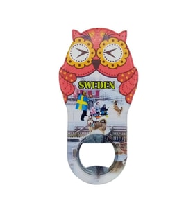 İsveç Temalı Baykuş Magnet Kapak Açacak (Karışık)