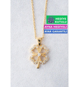 Jewelmim 4 Dört Yapraklı Yonca Gümüş Kolye Sarı Altın Kaplama Yoncalı 925 Ayar Kadın Gümüş Yonca Kolye (Sarı)