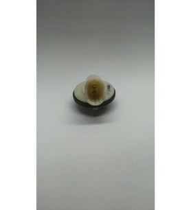 Vivaro 2004-2007 Tampon Sinyal Duyu -gm-